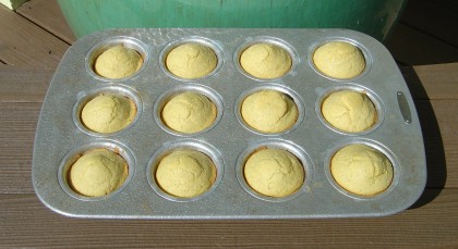 A pan of corn muffins just out of the oven