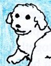 a small image of Chablis, Carmel's brother