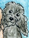 a small image of Smokey, Carmel's friend