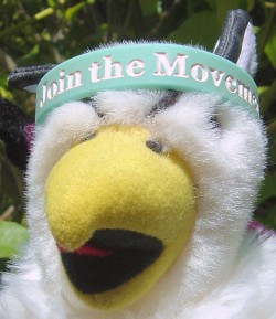 an 'Affordable Textbooks - Join the Movement' wristband being modeled by my Reed College griffin