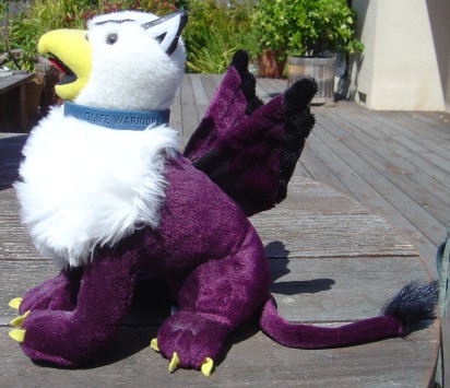 A larger picture of my stuffed Reed College griffin mascot wearing a 'Wildlife Warriors' wristband as a collar