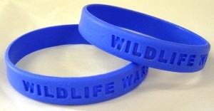 a bright blue 'Wildlife Warriors' wristband